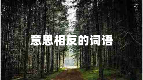 意思相反的詞語 意思相反的詞語
