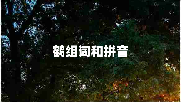 鶴組詞和拼音 鶴組詞和拼音