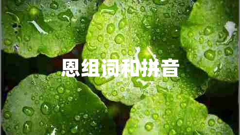 恩組詞和拼音 恩組詞和拼音