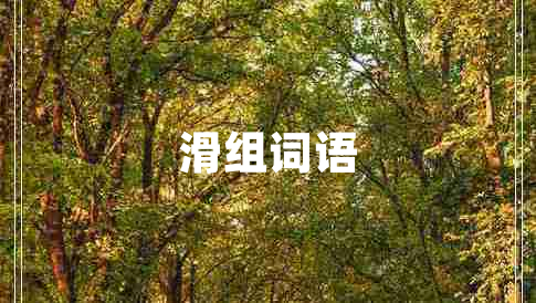滑組詞語(yǔ) 滑組詞語(yǔ)