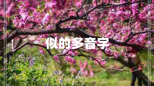 似的多音字 似的多音字