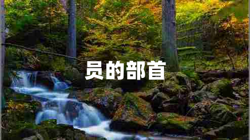 員的部首