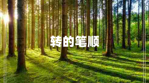 轉(zhuǎn)的筆順
