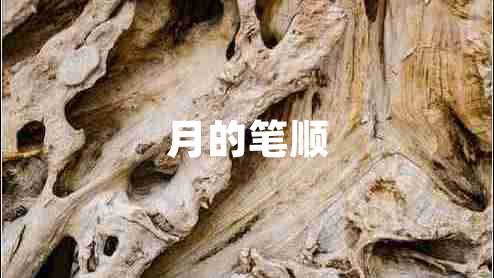 月的筆順