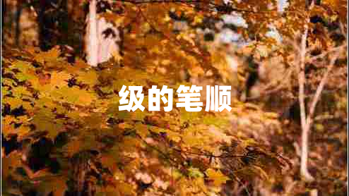 級的筆順