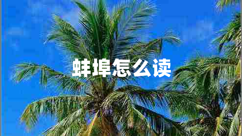 蚌埠怎么讀