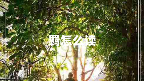 羈怎么讀 羈怎么讀