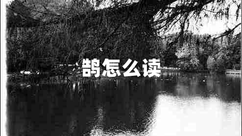 鵠怎么讀