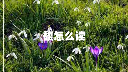 馥怎么讀 馥怎么讀