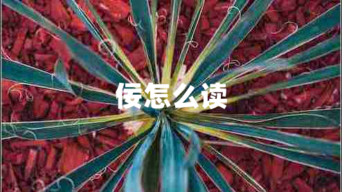 佞怎么讀 佞怎么讀