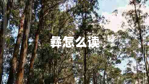 彝怎么讀 彝怎么讀