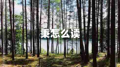 秉怎么讀 秉怎么讀