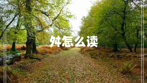 舛怎么讀 舛怎么讀