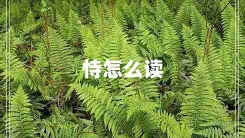 恃怎么讀 恃怎么讀