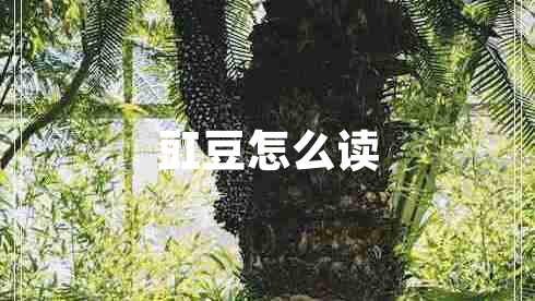 豇豆怎么讀 豇豆怎么讀