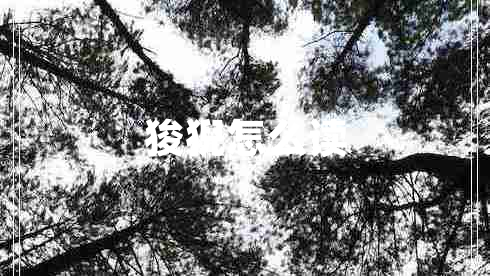 狻猊怎么讀 狻猊怎么讀