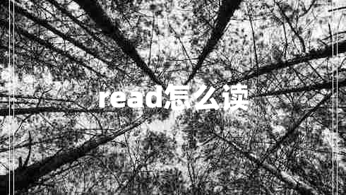 read怎么讀