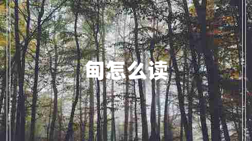 甸怎么讀 甸怎么讀