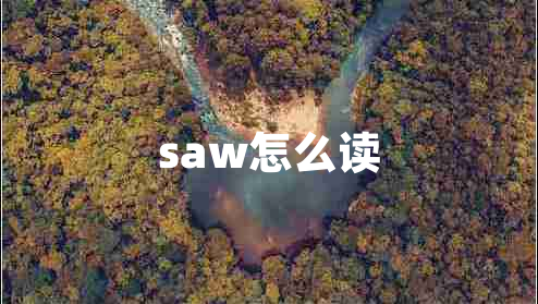 saw怎么讀