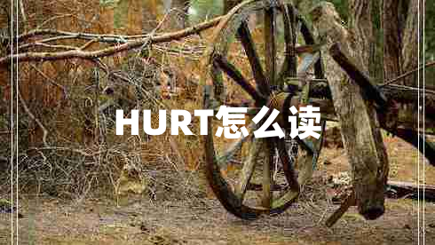 HURT怎么讀 HURT怎么讀