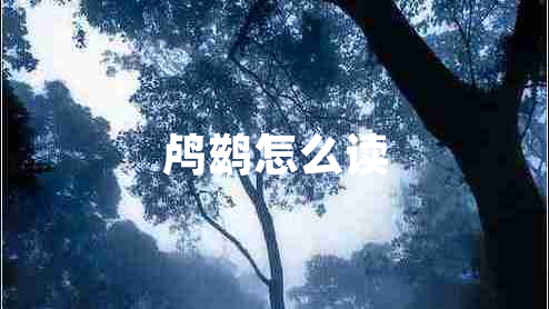 鸕鶿怎么讀 鸕鶿怎么讀