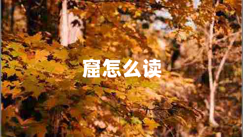 窟怎么讀 窟怎么讀