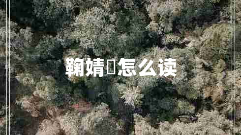 鞠婧祎怎么讀 鞠婧祎怎么讀