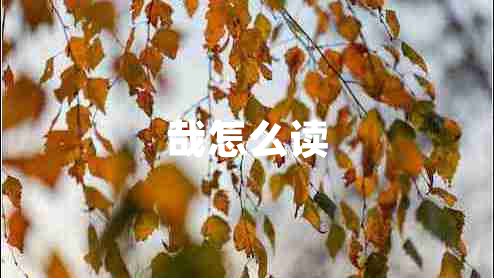 哉怎么讀 哉怎么讀