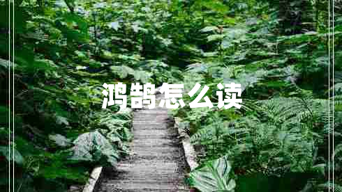 鴻鵠怎么讀