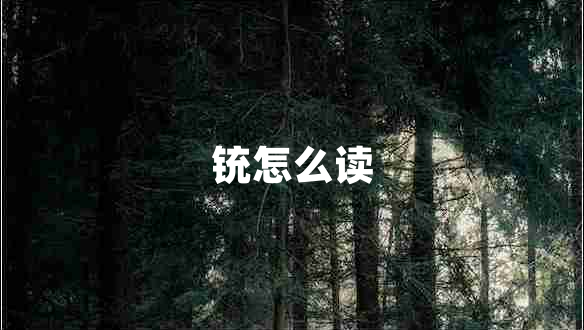 銃怎么讀