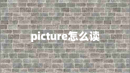 picture怎么讀