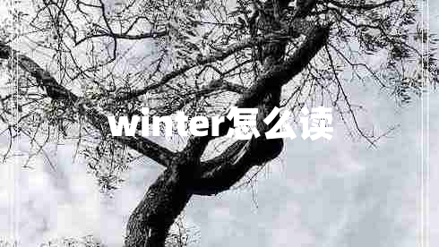 winter怎么讀 winter怎么讀