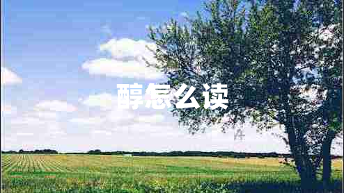 醇怎么讀 醇怎么讀