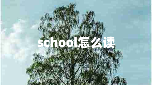 school怎么讀 school怎么讀