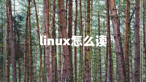 linux怎么讀
