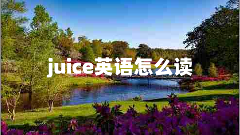 juice英語怎么讀
