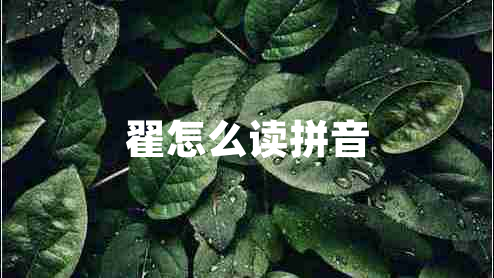 翟怎么讀拼音