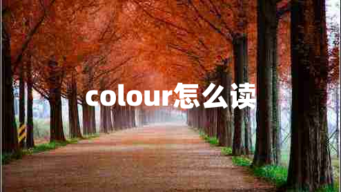 colour怎么讀 colour怎么讀