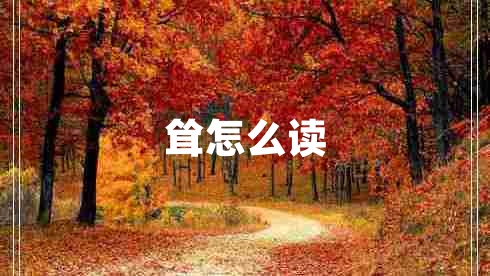 聳怎么讀 聳怎么讀