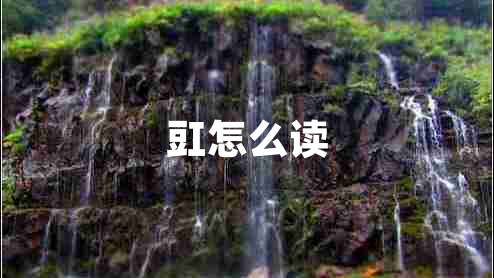 豇怎么讀