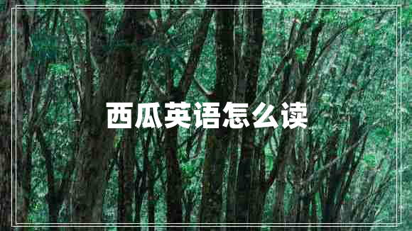 西瓜英語怎么讀