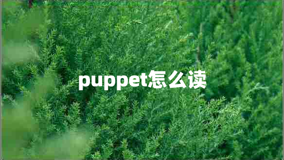 puppet怎么讀