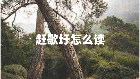 趕歌圩怎么讀 趕歌圩怎么讀