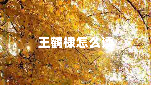 王鶴棣怎么讀 王鶴棣怎么讀