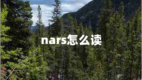 nars怎么讀