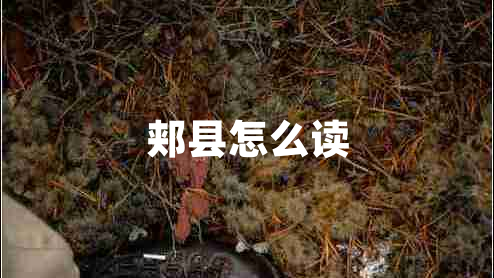 郟縣怎么讀 郟縣怎么讀