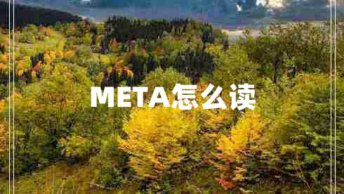 META怎么讀