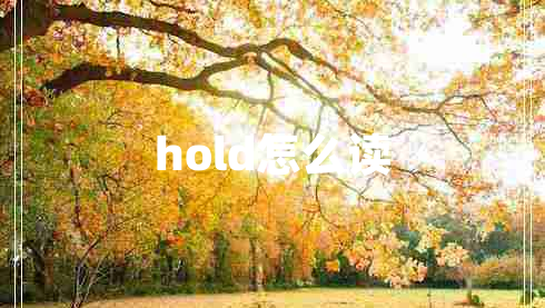 hold怎么讀