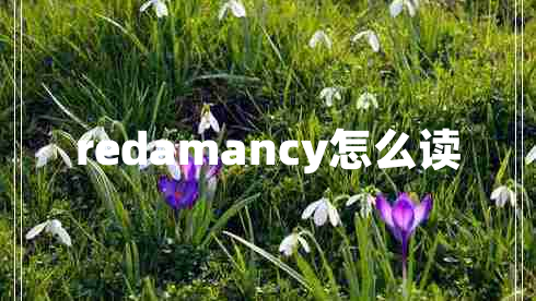 redamancy怎么讀