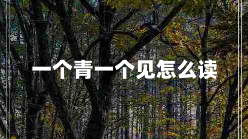 一個(gè)青一個(gè)見(jiàn)怎么讀